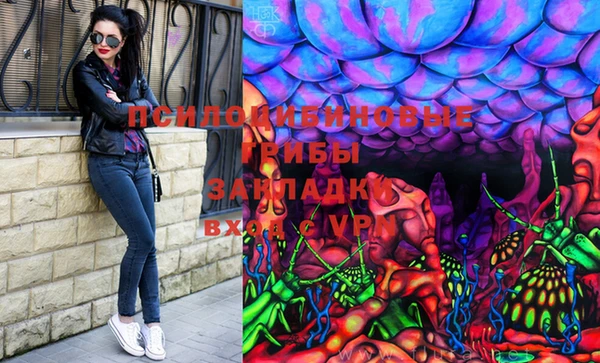 apvp Бердск