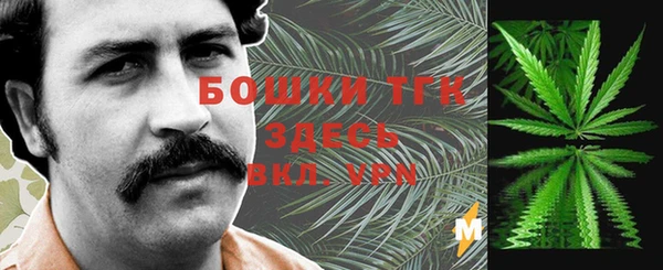 твердый Щигры