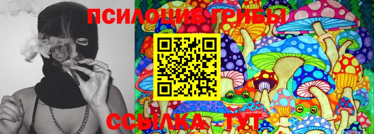 Псилоцибиновые грибы GOLDEN TEACHER  Димитровград 