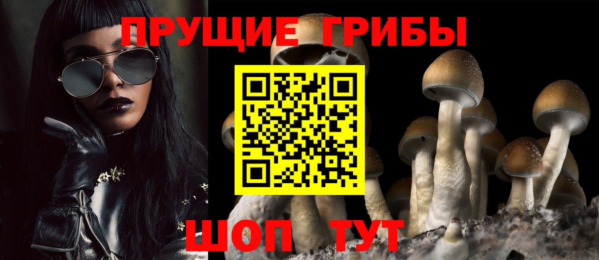 МЕФ Димитровград