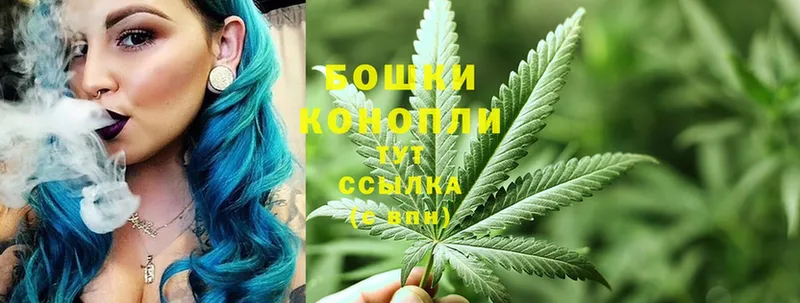 Конопля SATIVA & INDICA  МЕГА как войти  Димитровград  купить  цена 